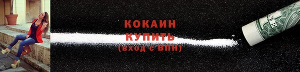 трава Бородино