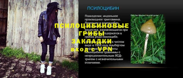 трава Бородино