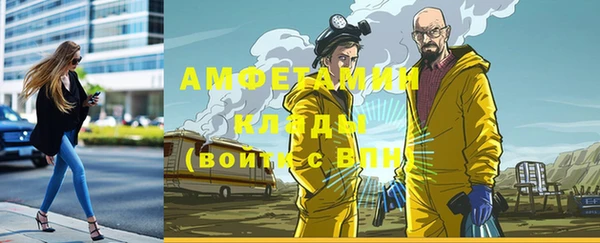 трава Бородино