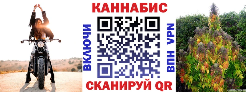 kraken зеркало  Кисловодск  Бошки марихуана семена 